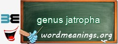 WordMeaning blackboard for genus jatropha